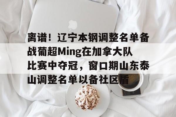 开云体育app-离谱！辽宁本钢调整名单备战葡超Ming在加拿大队比赛中夺冠，窗口期山东泰山调整名单以备社区盾的简单介绍